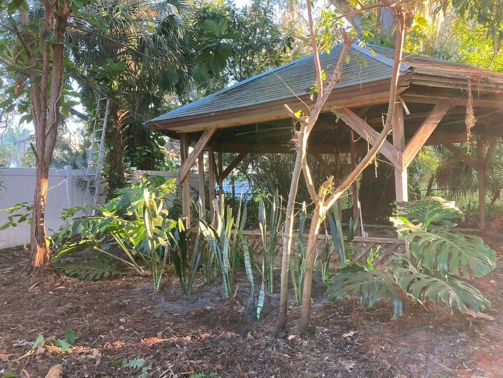 Reliable landscaping services for homes in Oldsmar, FL by Sunshine Services