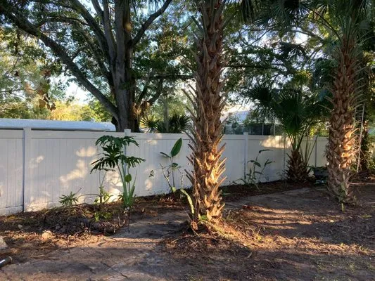 Sunshine Services Logo