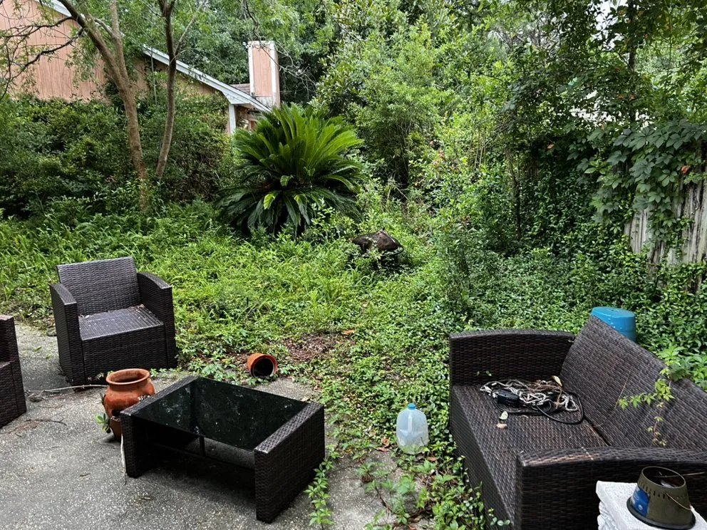 Expert landscape design in Navarre, FL - Sunshine Standard Landscape