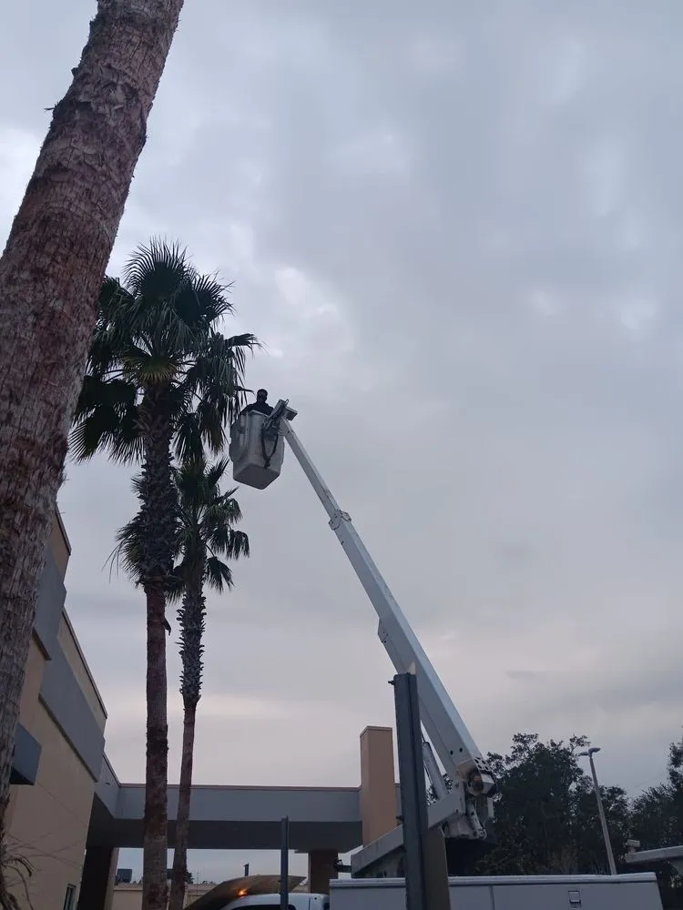 Custom landscaping services near you in Plant City, FL by Sunshine State Landscape and Lawn Service