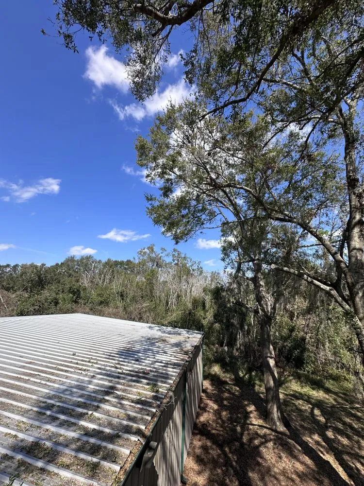 Professional landscaping services experts serving Plant City, FL - Sunshine State Landscape and Lawn Service