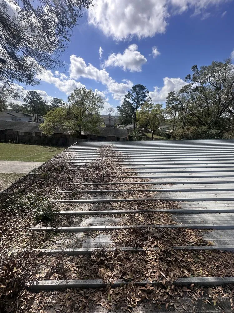 Professional yard maintenance experts serving Plant City, FL - Sunshine State Landscape and Lawn Service