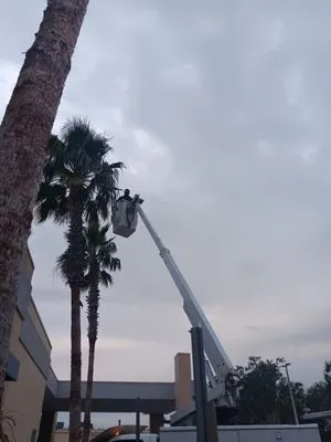 Sunshine State Landscape and Lawn Service Logo