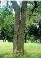 Local lawn care service near you across Stewartsville, NJ - Sunshine Tree & Landscape