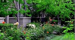 Trusted lawn mowing service in Stewartsville, NJ by Sunshine Tree & Landscape