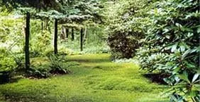 Trusted lawn mowing service in Stewartsville, NJ by Sunshine Tree & Landscape