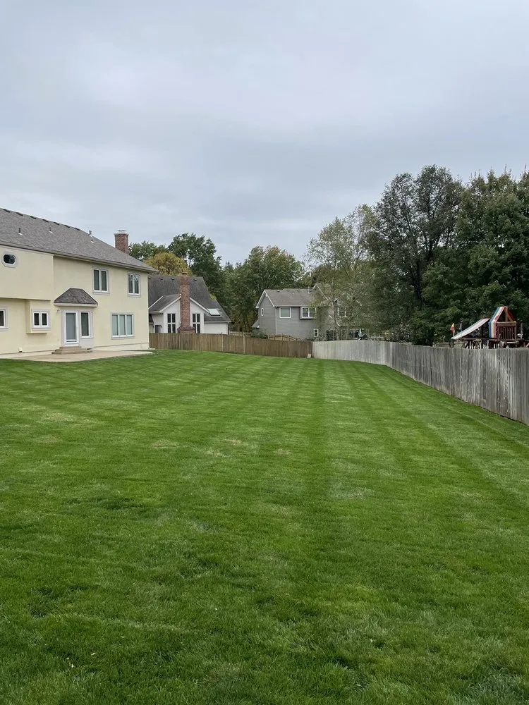 Expert yard cleanup service in Overland Park, KS - Sunshine Tree & Lawn