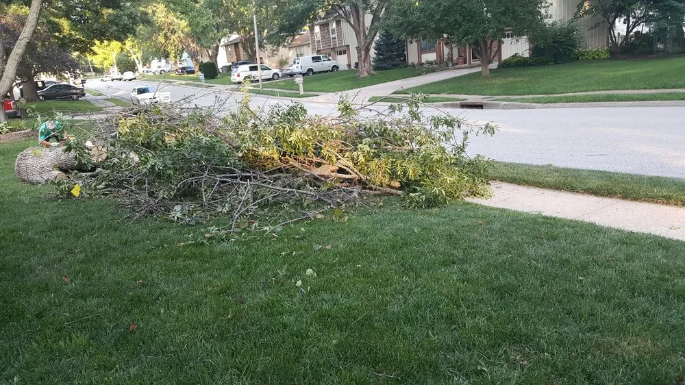 Local lawn mowing service in Overland Park, KS - Sunshine Tree & Lawn