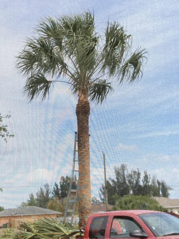 Reliable garden landscaping in Lehigh Acres, FL - Sunshine Tree Cutting