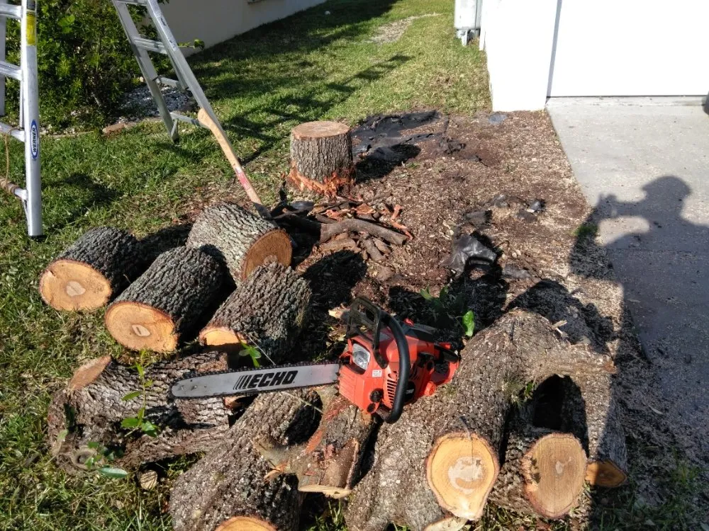 Professional yard maintenance in Lehigh Acres, FL by Sunshine Tree Cutting