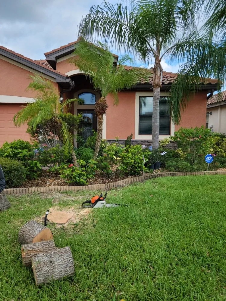 Affordable yard cleanup service in Lehigh Acres, FL - Sunshine Tree Cutting