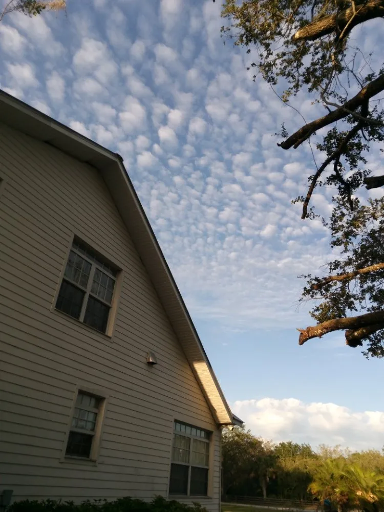 Top-rated garden landscaping in Lehigh Acres, FL by Sunshine Tree Cutting