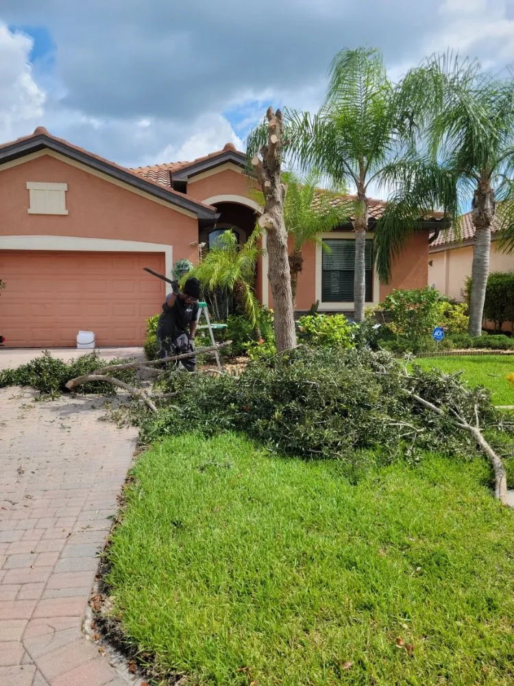 Reliable landscape design for year-round maintenance in Lehigh Acres, FL by Sunshine Tree Cutting