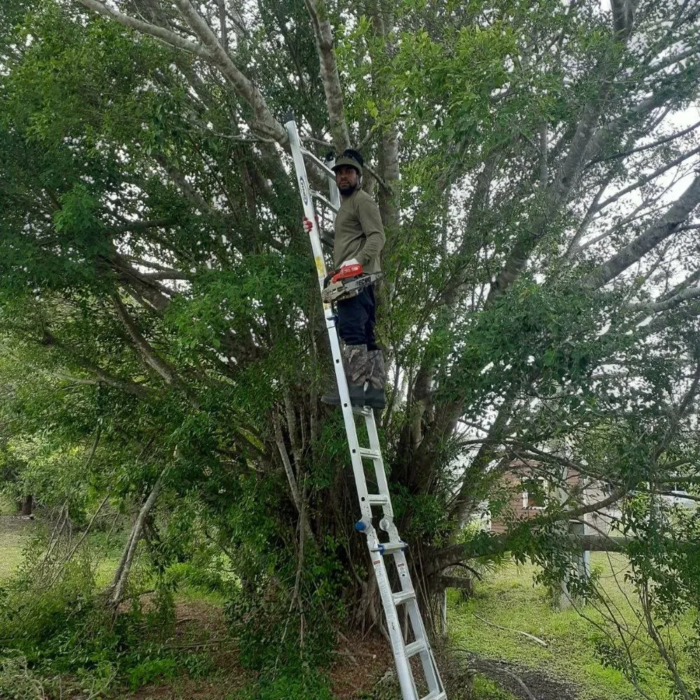 Trusted yard maintenance in Lehigh Acres, FL by Sunshine Tree Cutting