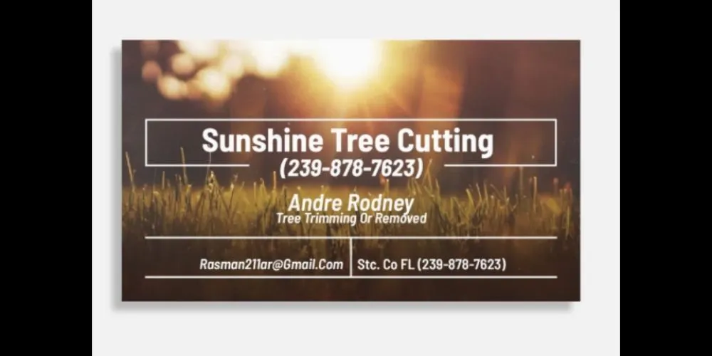 Custom landscaping services in Lehigh Acres, FL by Sunshine Tree Cutting