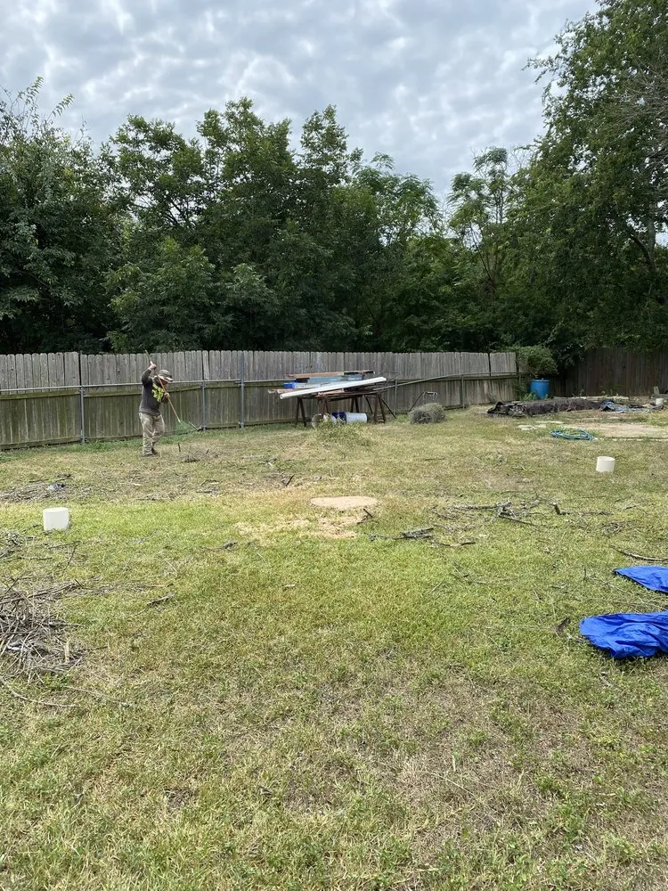 Local yard maintenance experts serving TX, TX - Sunshine Tree Service