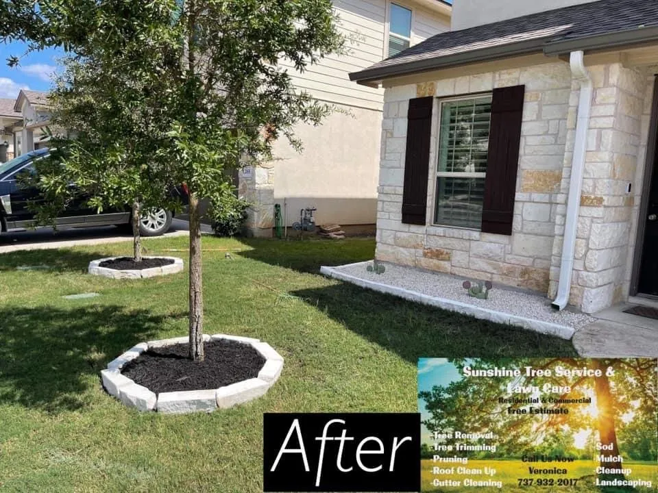 Local lawn care service in TX, TX by Sunshine Tree Service