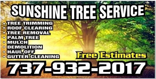 Top-rated yard maintenance for residential properties in TX, TX by Sunshine Tree Service