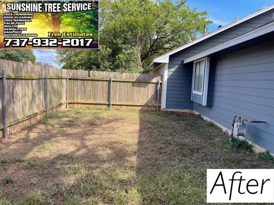 Professional garden landscaping in TX, TX - Sunshine Tree Service