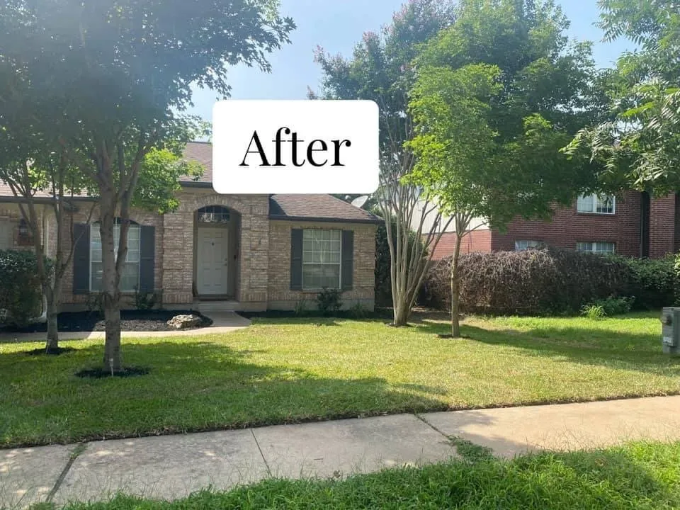 Affordable landscaping services in TX, TX - Sunshine Tree Service