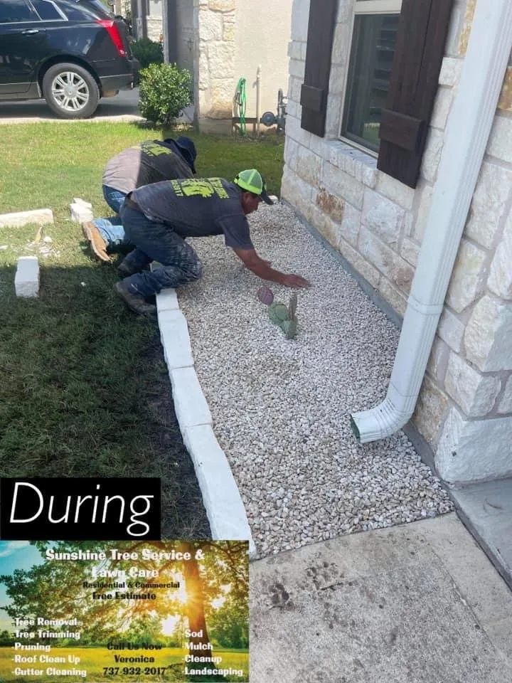 Local outdoor landscaping experts serving TX, TX - Sunshine Tree Service