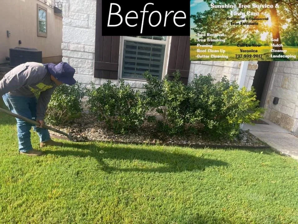 Reliable landscaping services in TX, TX by Sunshine Tree Service