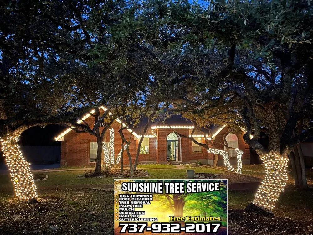 Custom yard maintenance experts serving TX, TX - Sunshine Tree Service