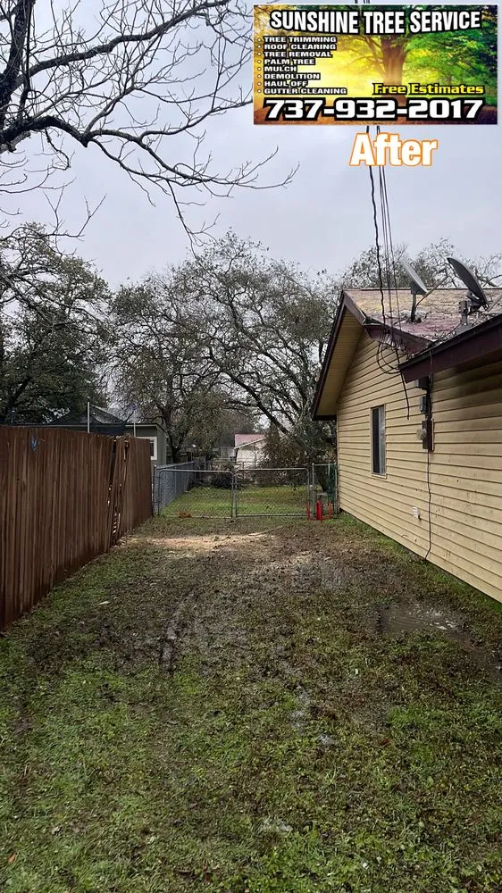 Professional yard cleanup service experts serving TX, TX - Sunshine Tree Service