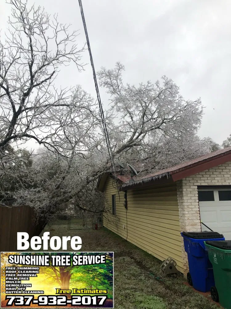 Local residential landscaping in TX, TX by Sunshine Tree Service
