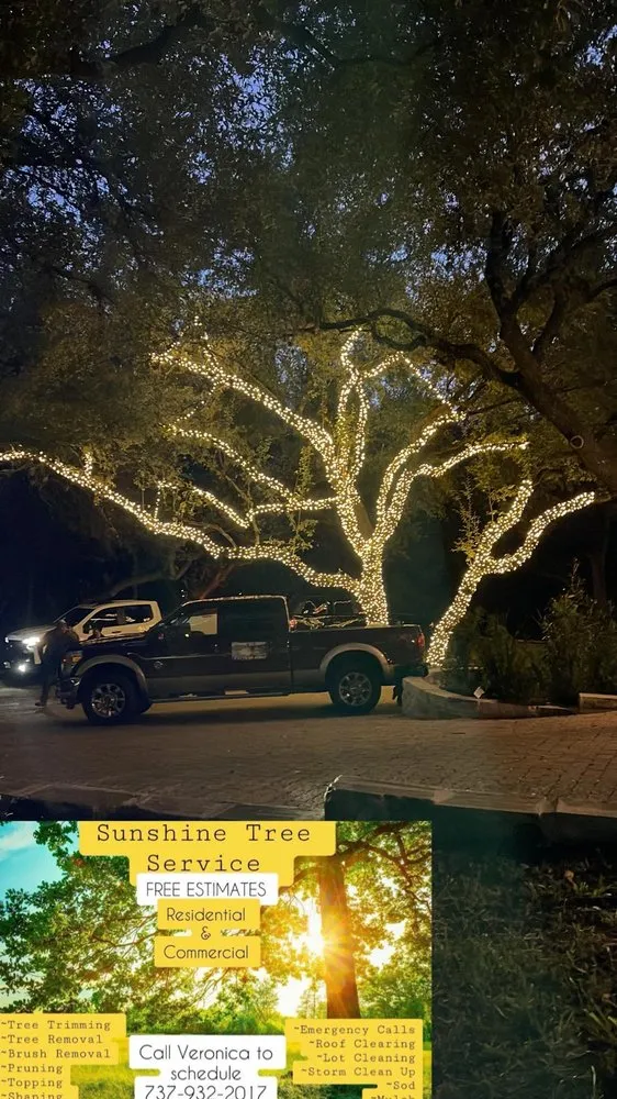 Professional yard maintenance in TX, TX - Sunshine Tree Service