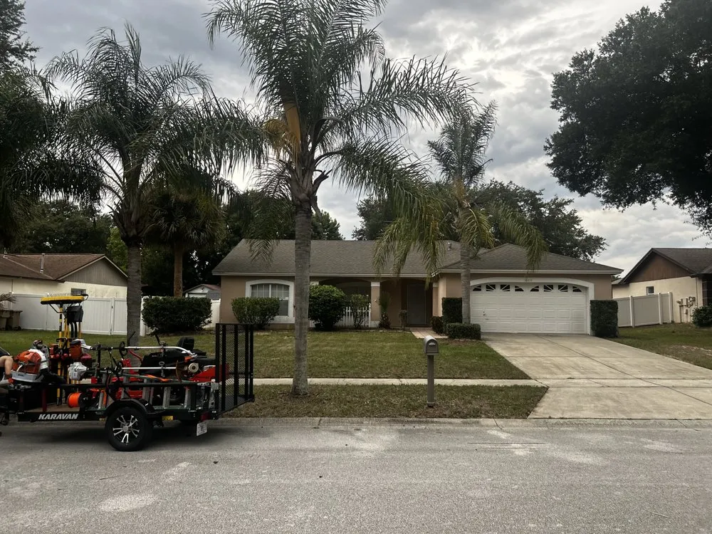 Custom yard cleanup service in Orlando, FL - Sunshine turf masters