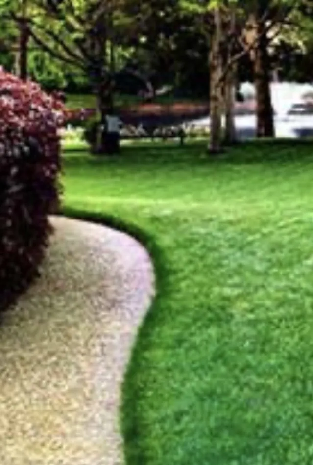 Expert outdoor landscaping in Orlando, FL by Sunshine turf masters