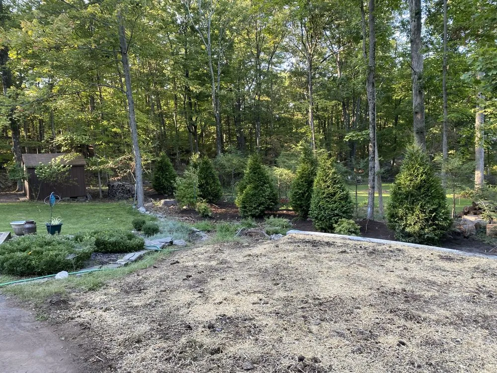 Top-rated lawn mowing service in Glasco, NY by Sunshine Valley Construction & Landscaping