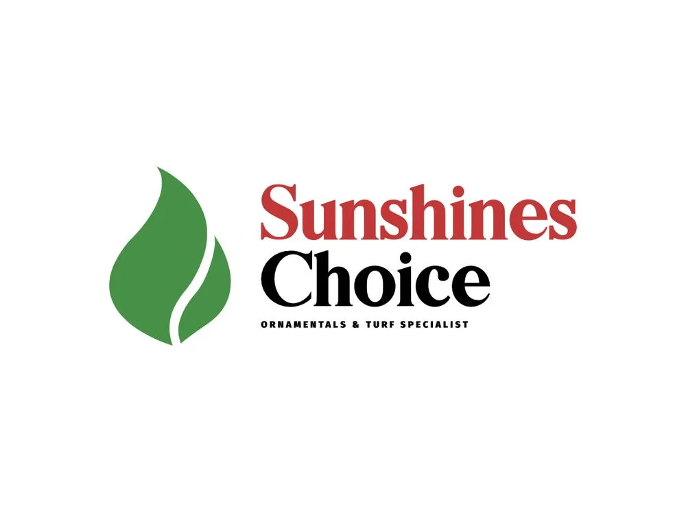 Professional garden landscaping with custom design in Jacksonville, FL by Sunshines Choice