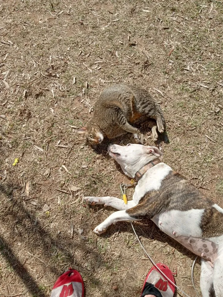 Top-rated landscape installation near you across Madison, WI - Sunshine's Handyman