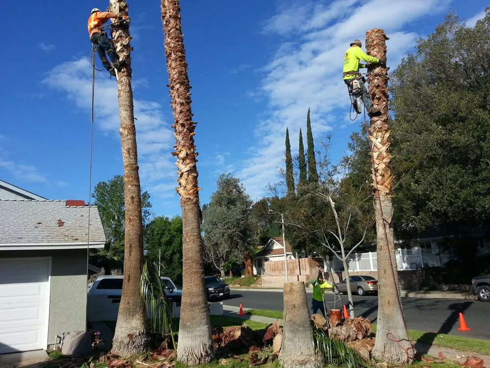 Top-rated garden landscaping for outdoor upgrades in Las Vegas, NV by Sunstate Companies