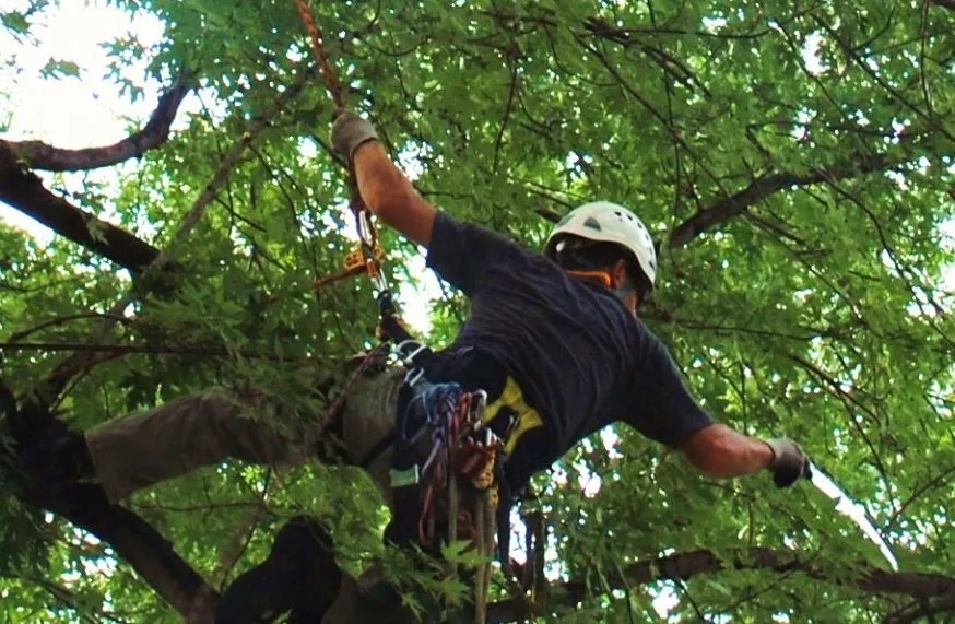 Top-rated landscaping services for homes in Las Vegas, NV by Sunstate Companies