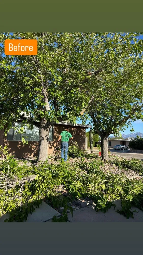 Local yard maintenance in Tucson, AZ by SunTech Construction and Landscaping