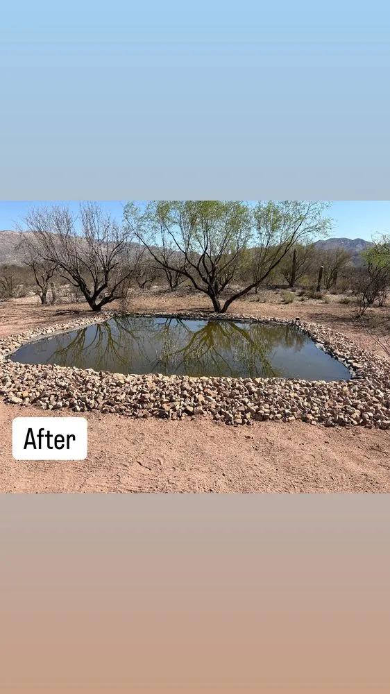 Professional garden landscaping in Tucson, AZ by SunTech Construction and Landscaping