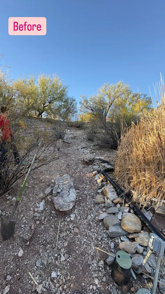 Top-rated outdoor landscaping for year-round maintenance in Tucson, AZ by SunTech Construction and Landscaping