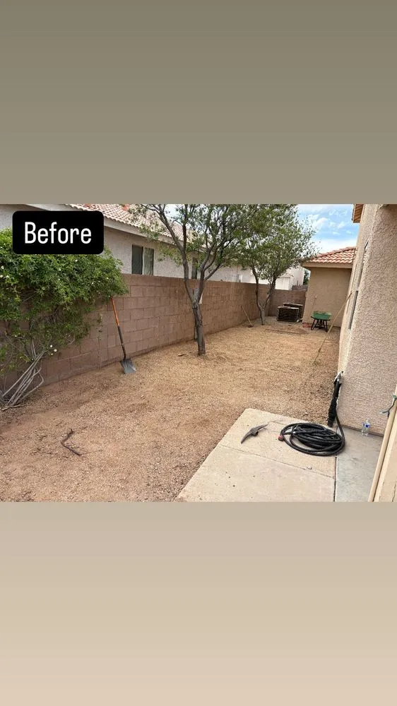 Top-rated lawn care service in Tucson, AZ by SunTech Construction and Landscaping