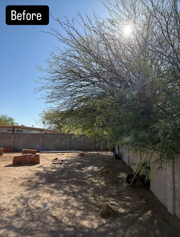 Reliable residential landscaping experts serving Tucson, AZ - SunTech Construction and Landscaping