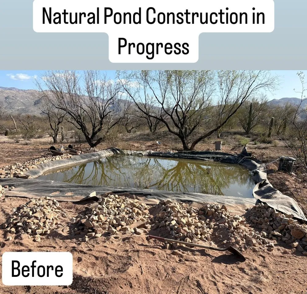 Affordable landscape design in Tucson, AZ - SunTech Construction and Landscaping