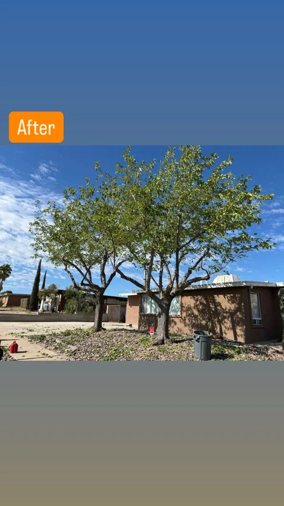 Custom residential landscaping in Tucson, AZ by SunTech Construction and Landscaping