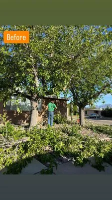 SunTech Construction and Landscaping Logo