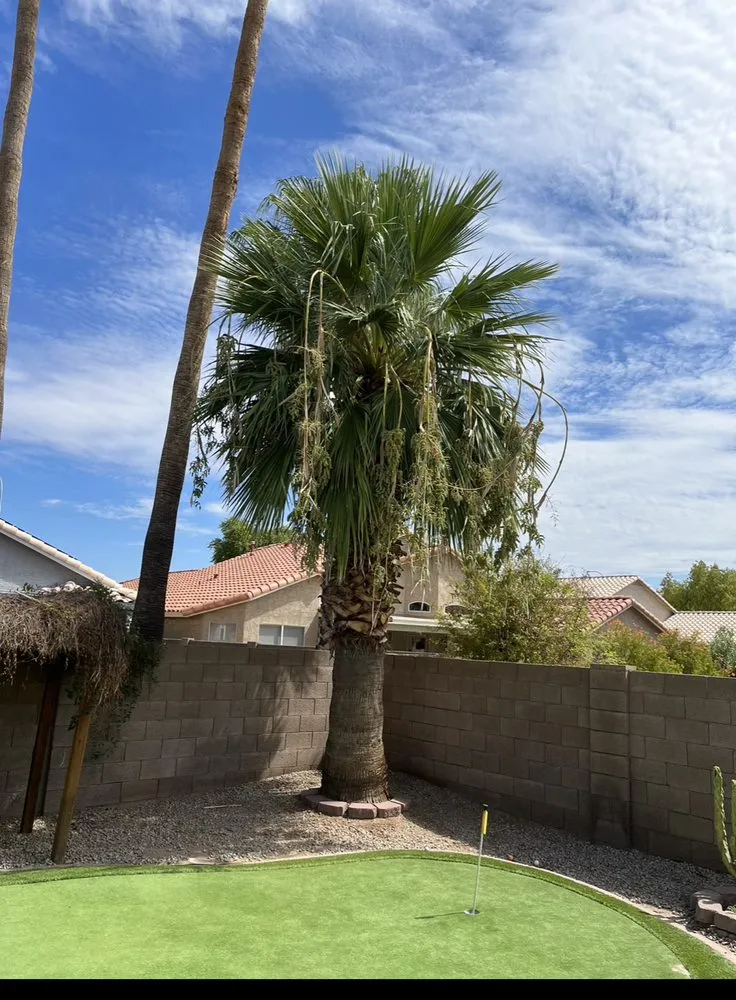 Reliable lawn care service in Maricopa, AZ - SunValley Home and Business Services