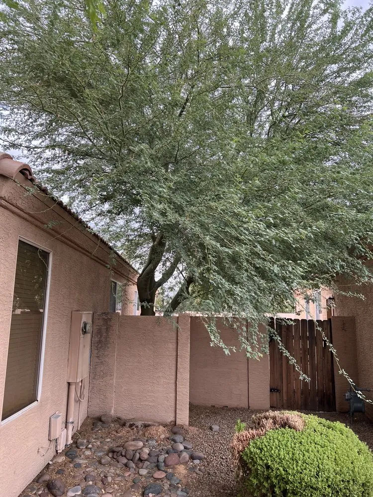 Custom yard cleanup service experts serving Maricopa, AZ - SunValley Home and Business Services