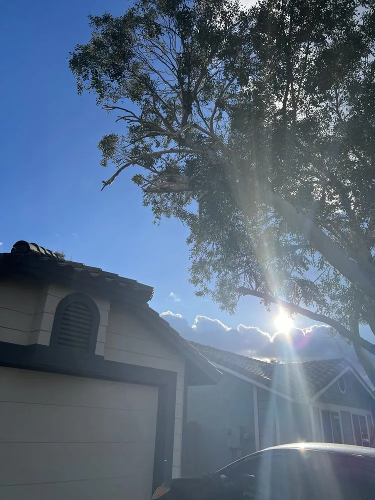 Reliable residential landscaping in Maricopa, AZ by SunValley Home and Business Services