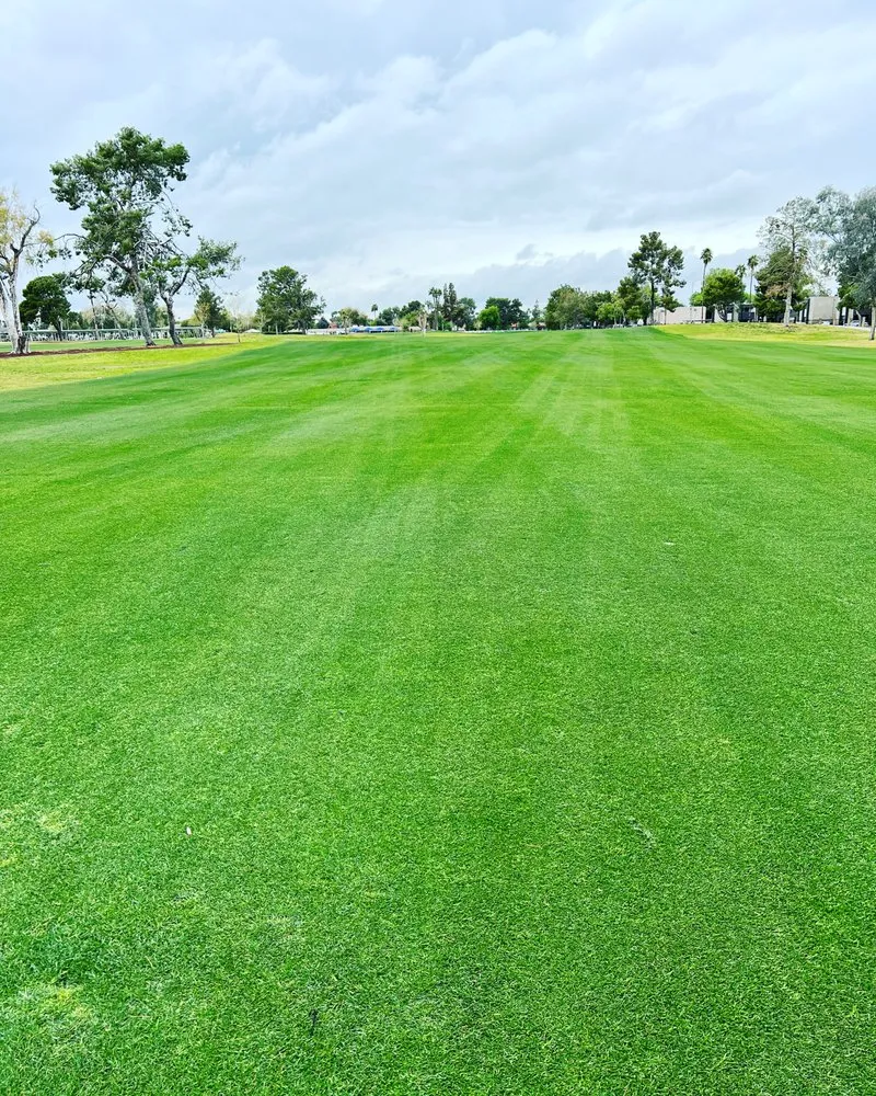 Reliable yard cleanup service for homes across Maricopa, AZ - SunValley Home and Business Services