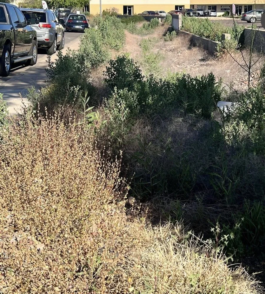 Custom lawn mowing service for outdoor upgrades across Maricopa, AZ - SunValley Home and Business Services